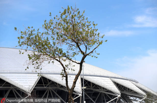 瑞典力克英格兰，加维高光表现