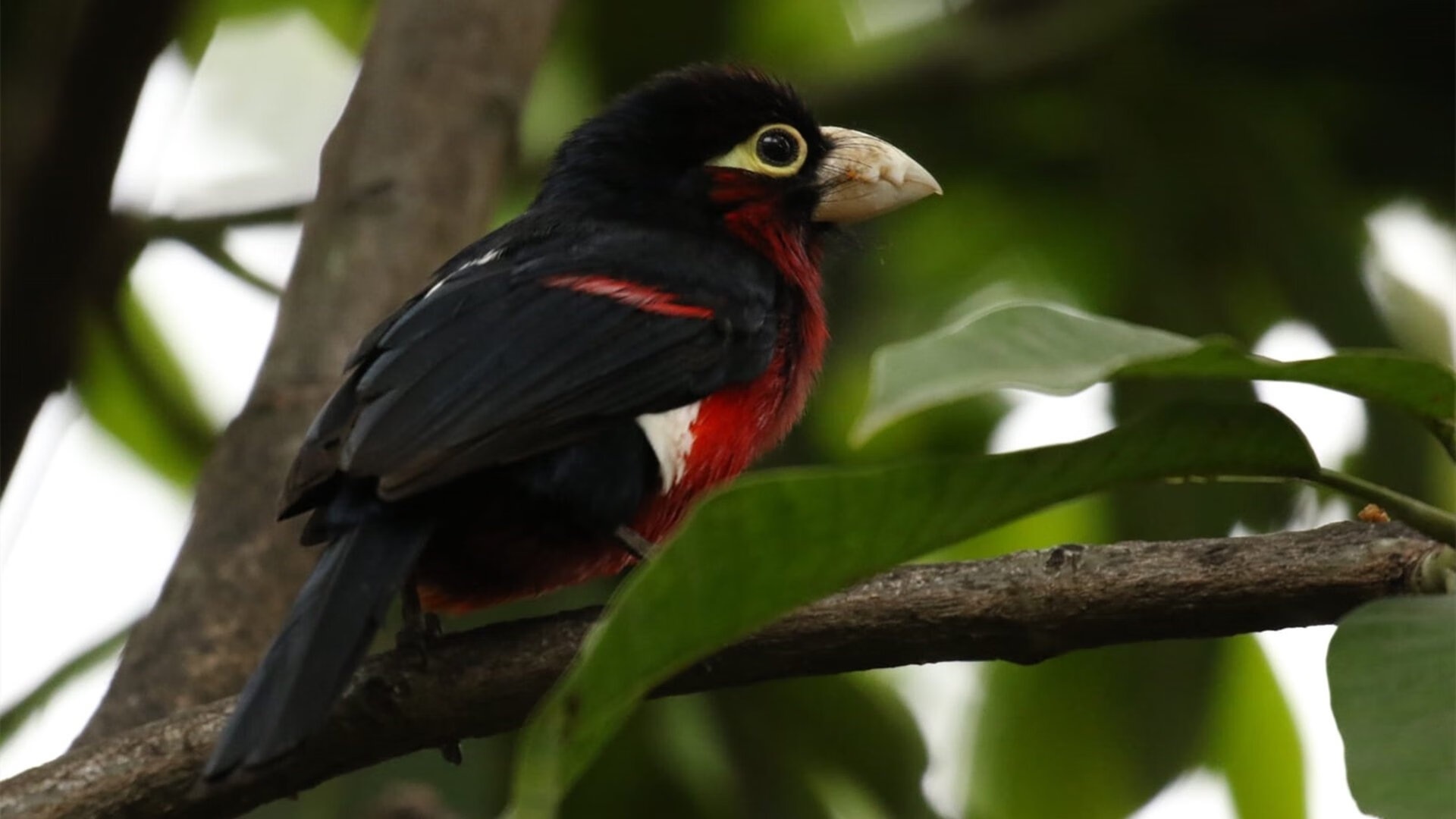 惊艳背后，横扫对手时，那声最尖锐的破冰之声