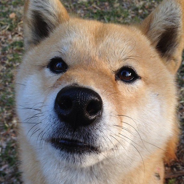 北欧寒流中的不灭龙焰,记马龙统治之夜与中国队的功败垂成