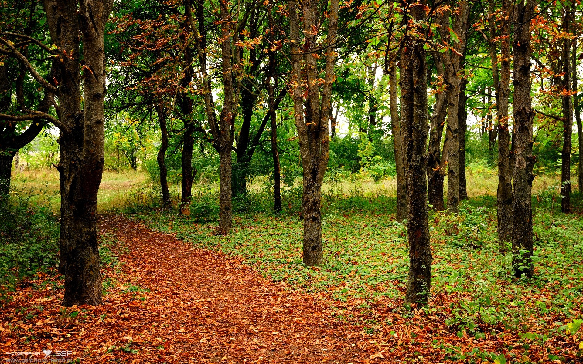当金满贯遇见齿轮，辛杜高光背后的体系胜利