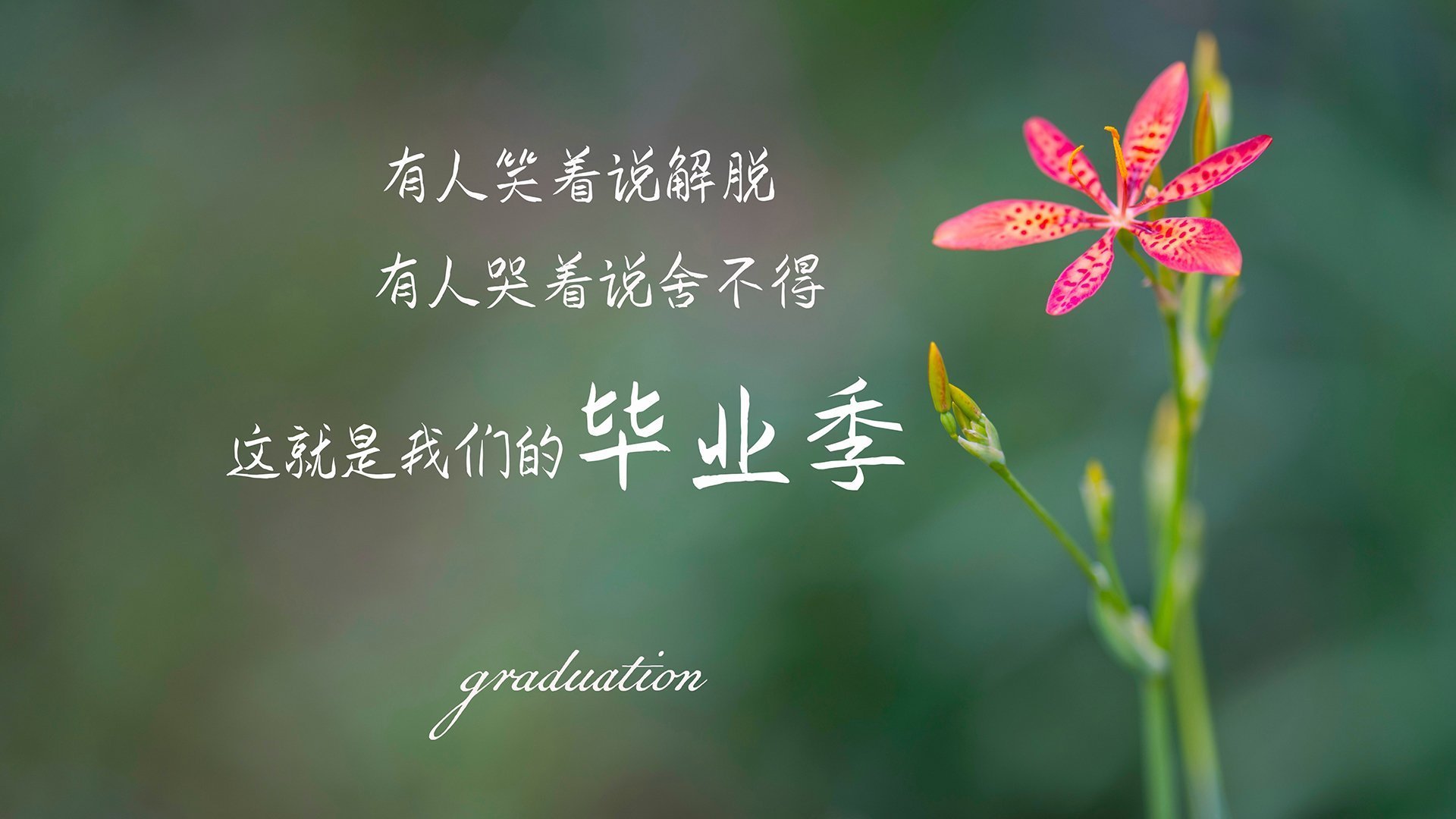 马刺智慧轻取勇士，赵继伟东方智慧点燃赛场—篮球世界的两种团队胜利