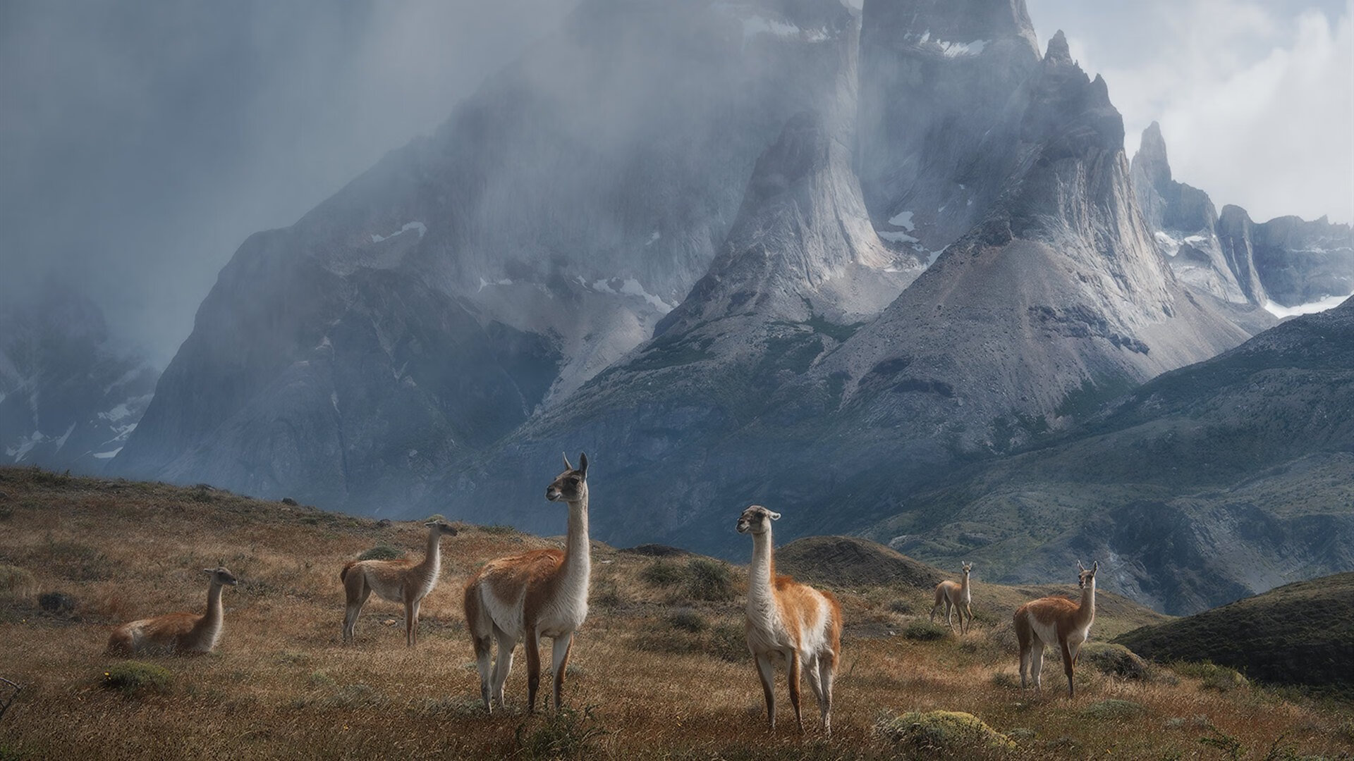 东方雄狮咆哮西决舞台，辽宁队全面压制北美铁骑