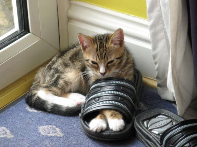 险胜0.1秒与接管全场，掌控力是竞技场唯一的通用货币