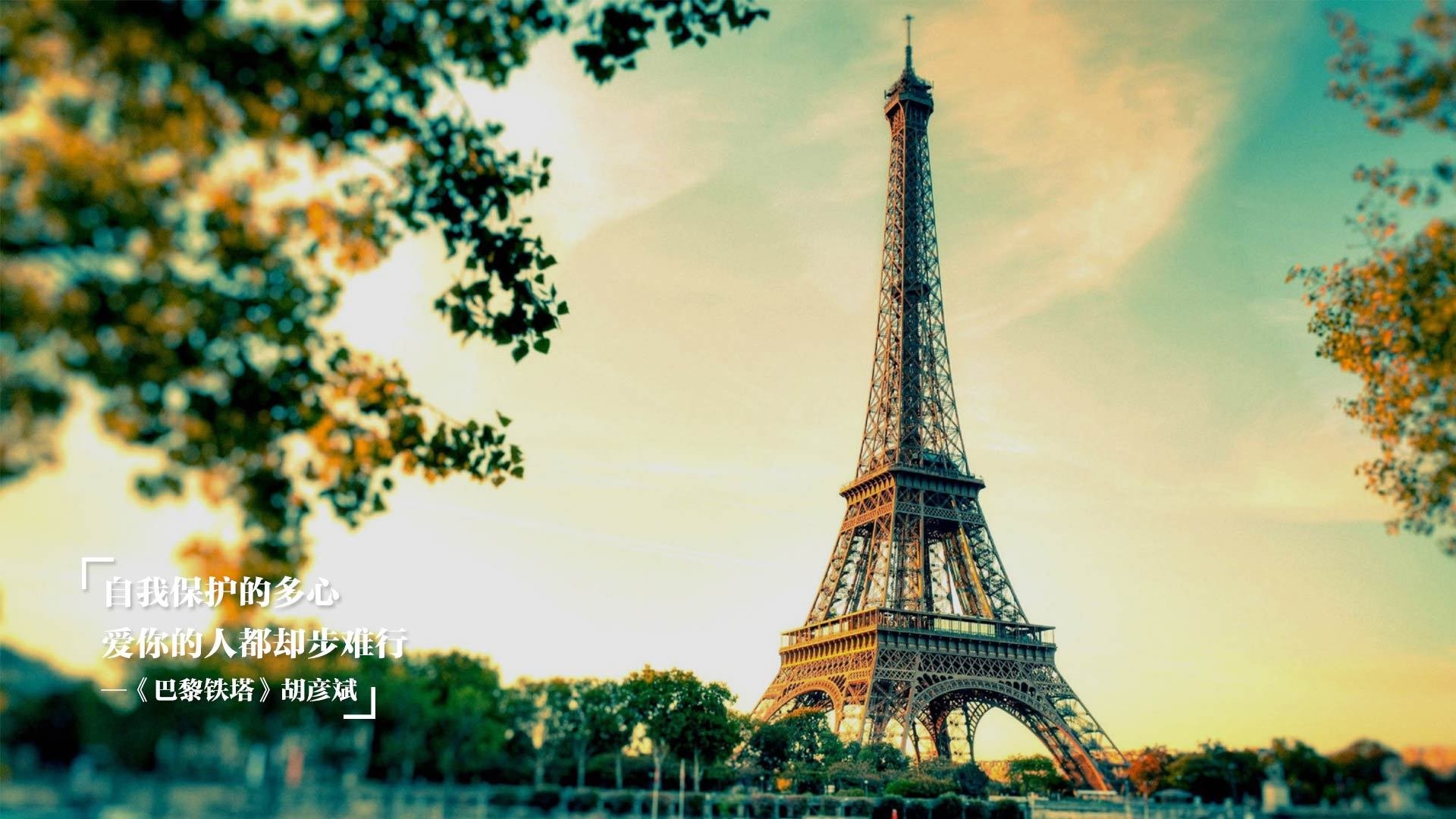 亚洲逆袭！富安健洋惊艳四座，卡塔尔力克贝蒂斯谱写新章