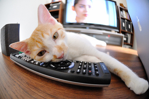 平行宇宙中的紫色闪电，当西亚卡姆在凯尔特人雷霆战中降临