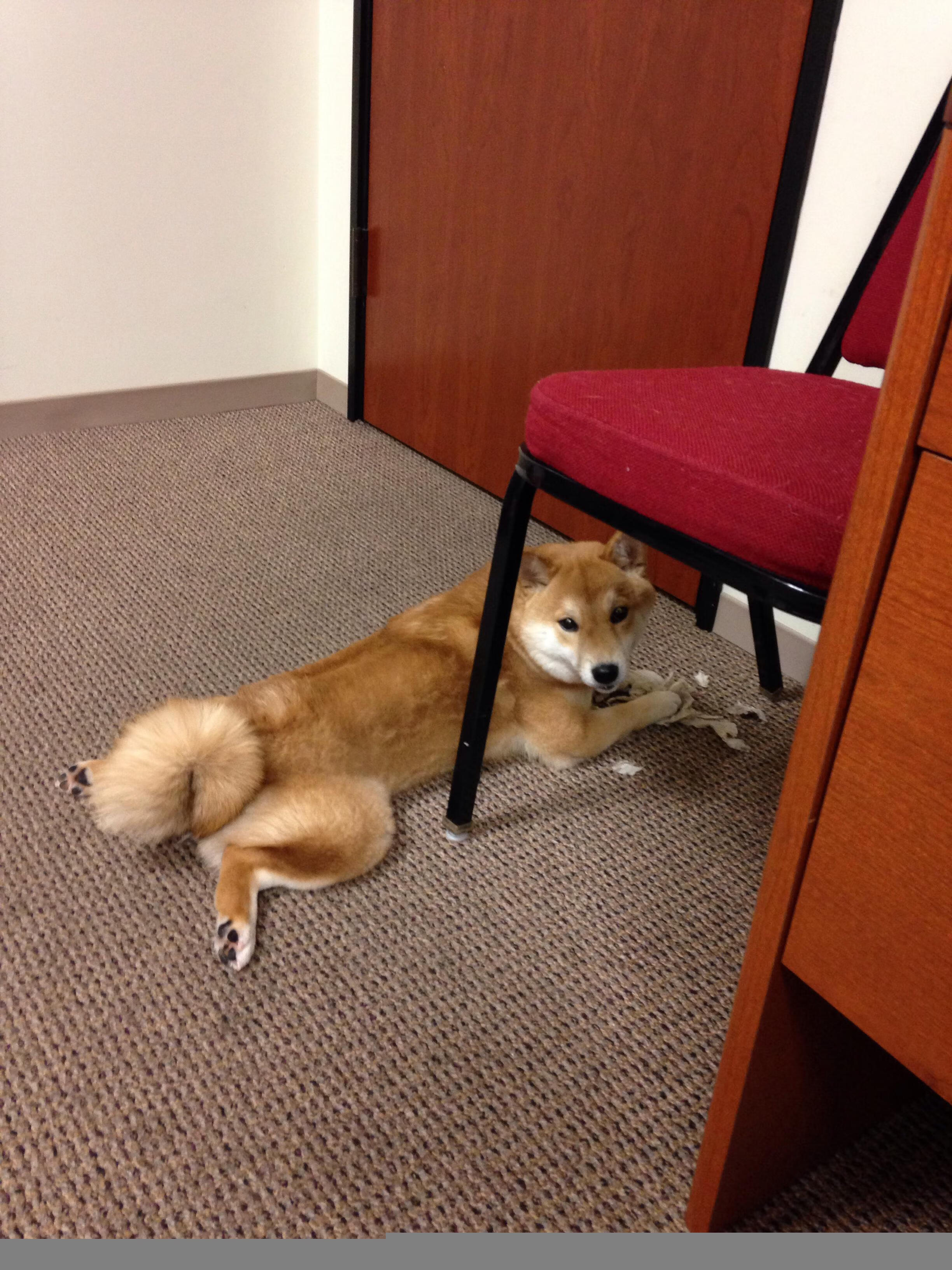 冰火淬炼，威尔士奇迹之夜，萨卡一剑封喉征服塞维利亚