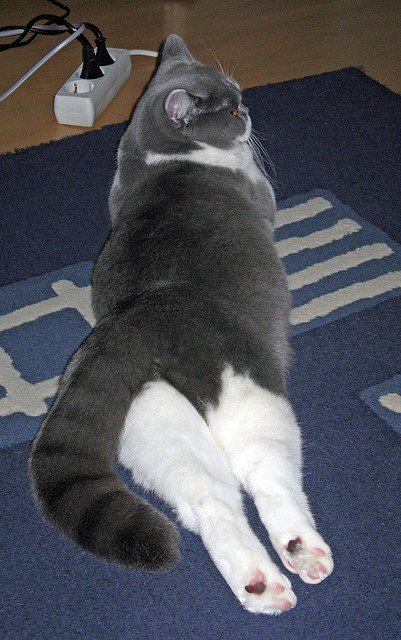 赛程冲突,当西甲冠军争夺战遇上F1年度收官战