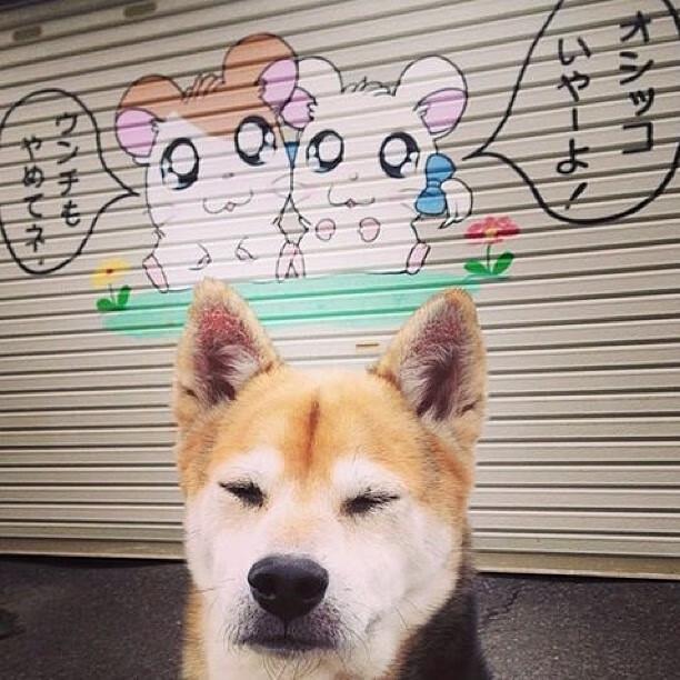 意甲焦点战之夜，法比尼奥进攻端肆虐，对手防线溃不成军