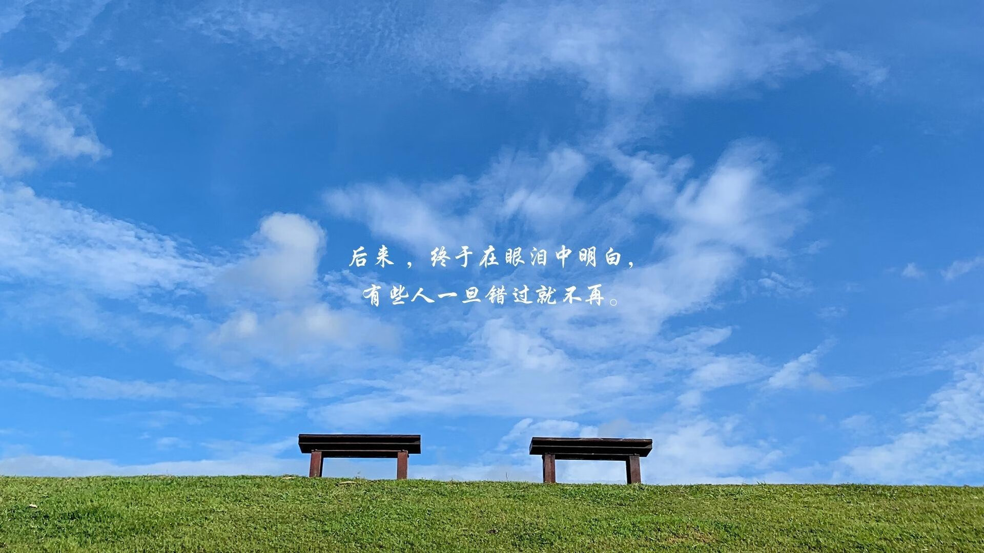 黄黑风暴席卷安联,多特蒙德用一场非典型碾压改写欧冠剧本