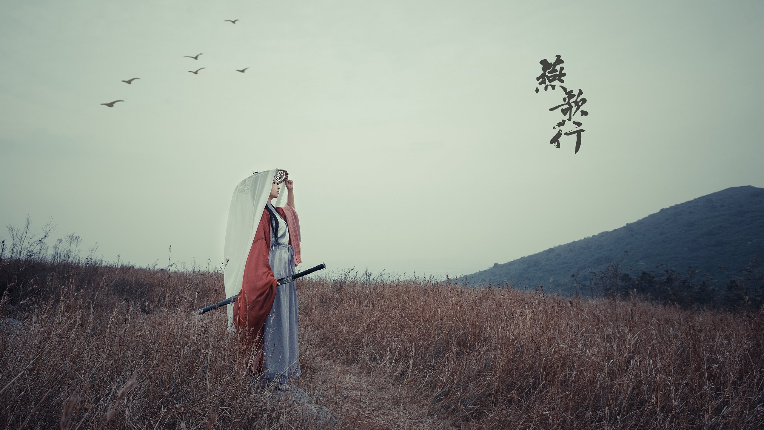 时空裂隙间的紫金王朝，当掘金在抢七决战中跨越维度击败辽宁