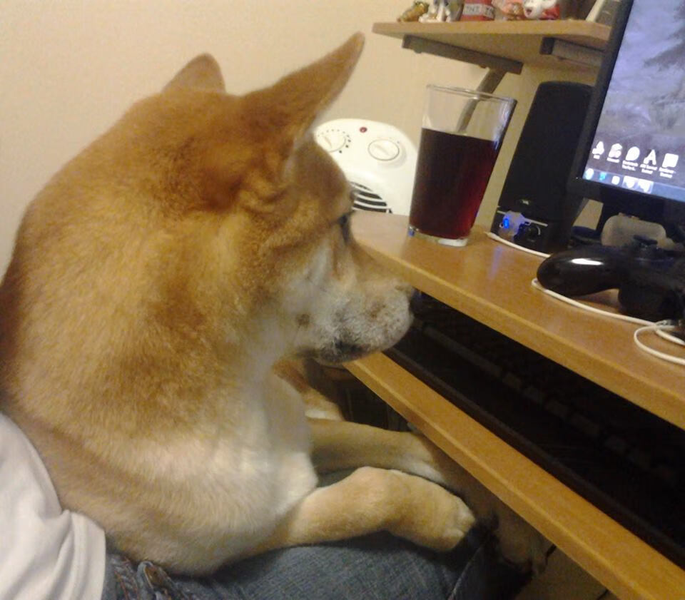 阿什拉夫的火焰与玻利维亚的寒冰,足球世界的辩证法则