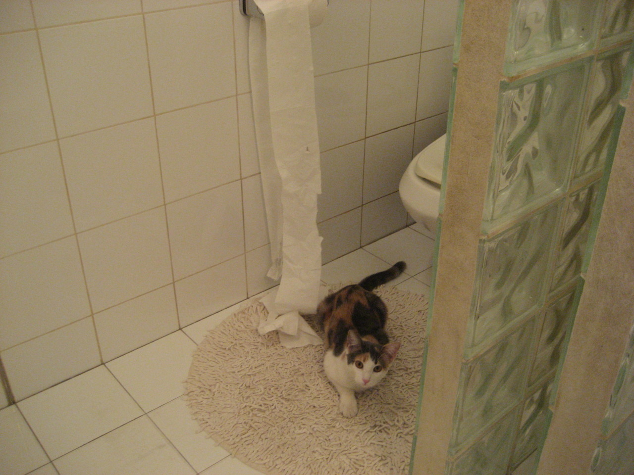 C罗爆发,阿森纳之星助葡萄牙提前终结澳大利亚悬念