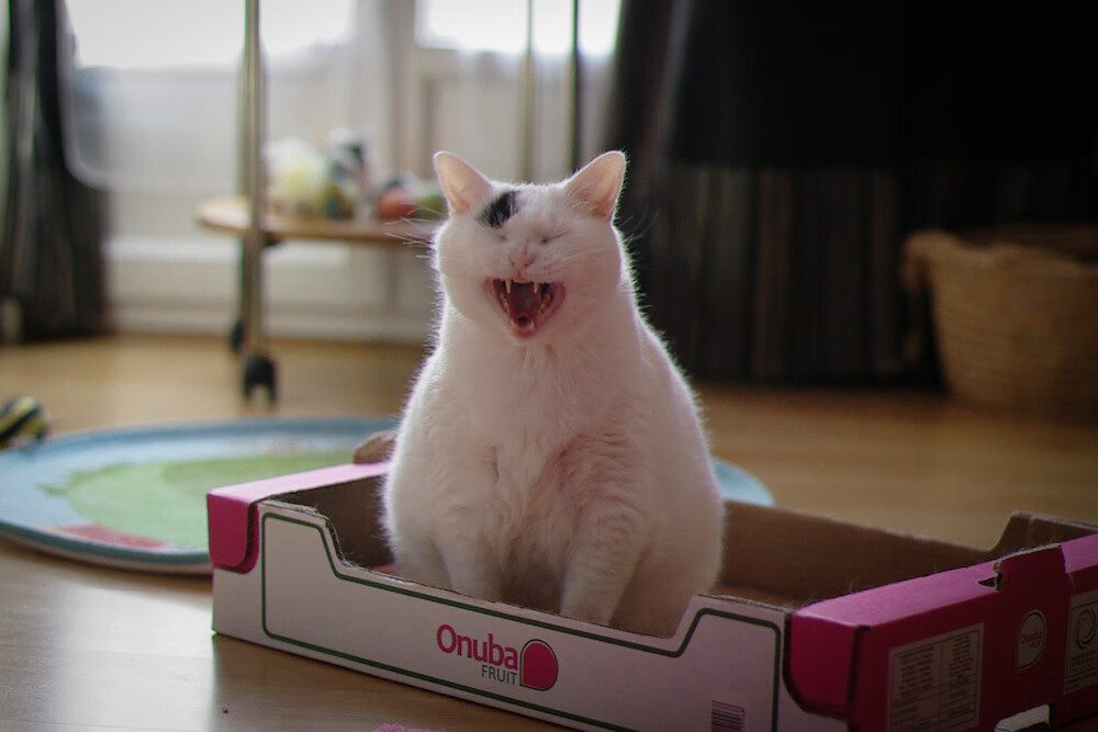 爱游戏在线-冰与火之歌，当小贾伦评分拉满遇上新疆的生死战