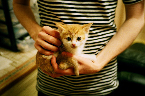 超越对决，库里神迹与魔术团队的胜利启示