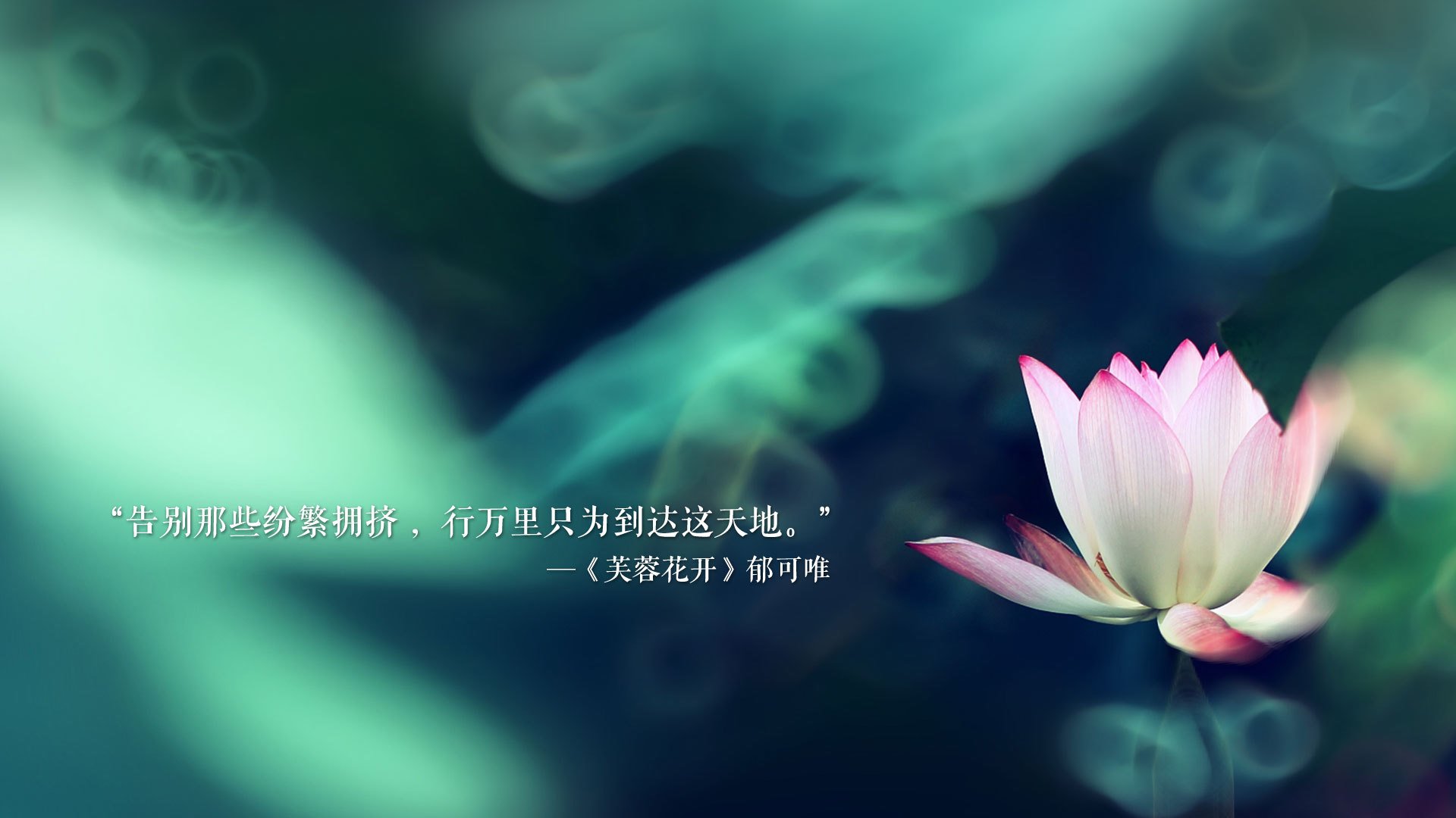 那一夜，高卢雄鸡的蓝色风暴，格列兹曼与法国队的世界杯唯一性传奇